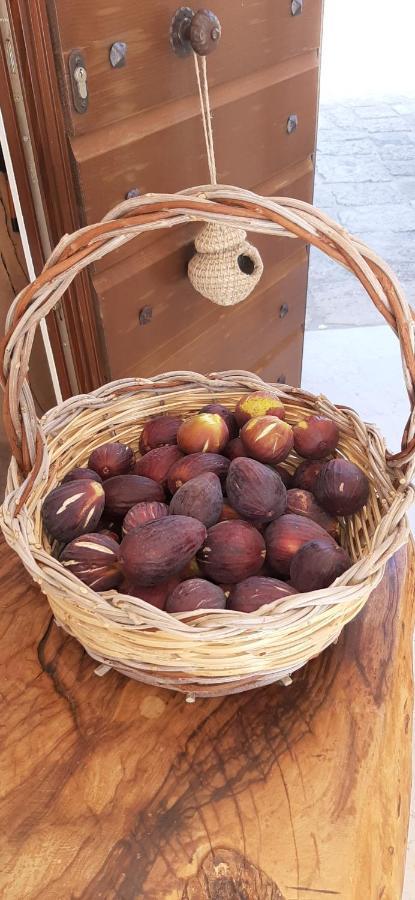 Antica Masseria Ficazzana - Tenuta 佩斯科勒海滨 外观 照片