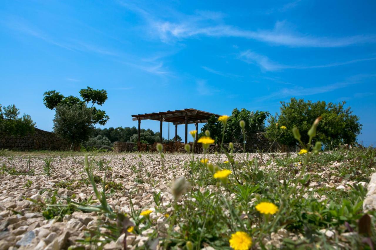 Antica Masseria Ficazzana - Tenuta 佩斯科勒海滨 外观 照片