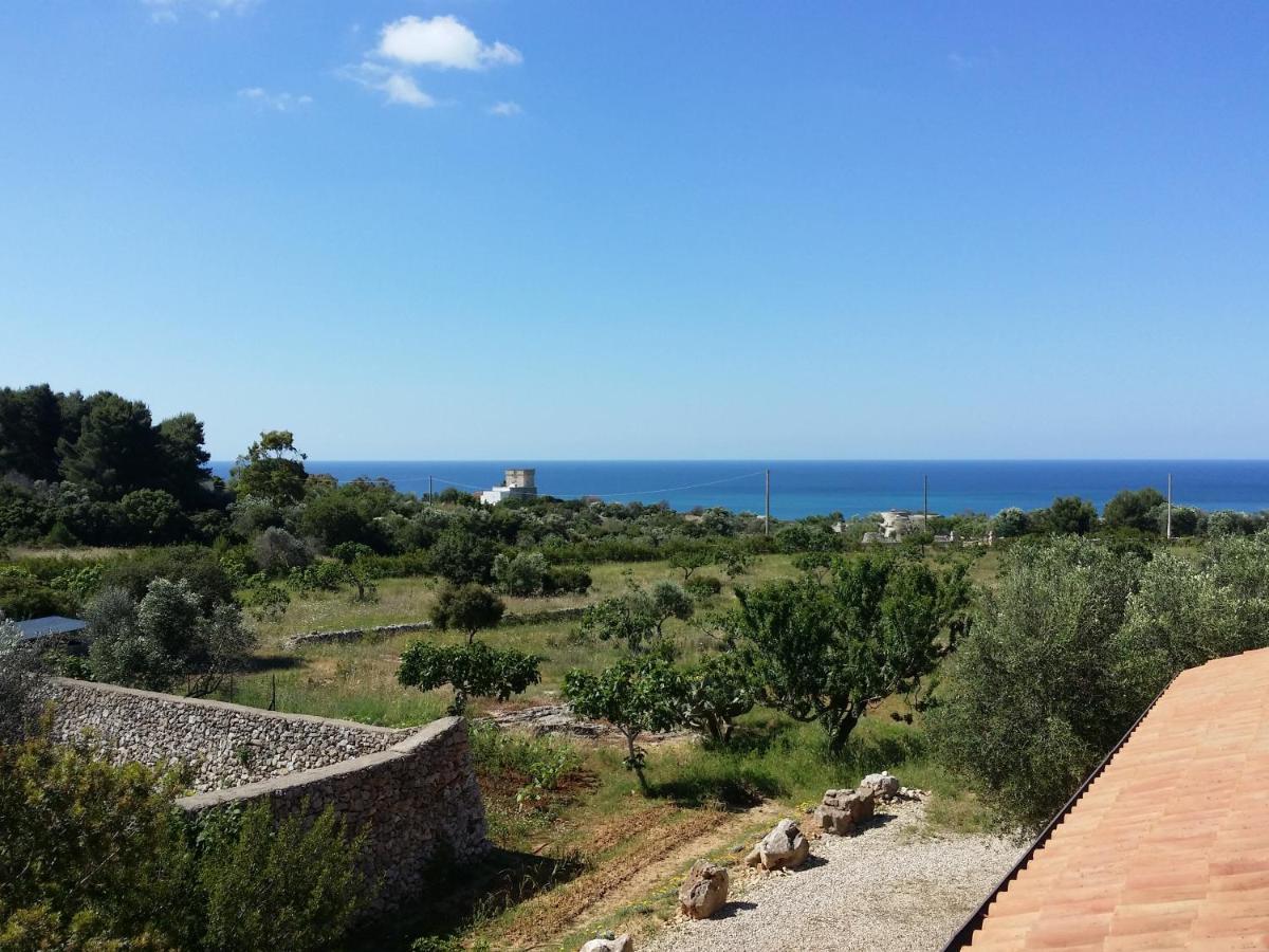 Antica Masseria Ficazzana - Tenuta 佩斯科勒海滨 外观 照片